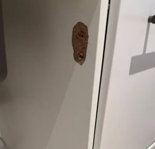 Before: deep gouge in the middle of a flat white cabinet door