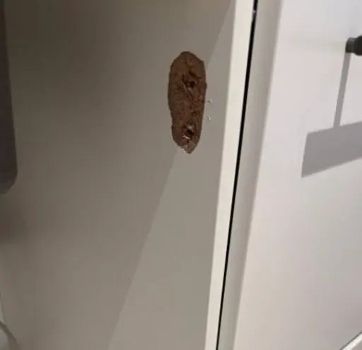Before — deep gouge in a flat white cabinet door